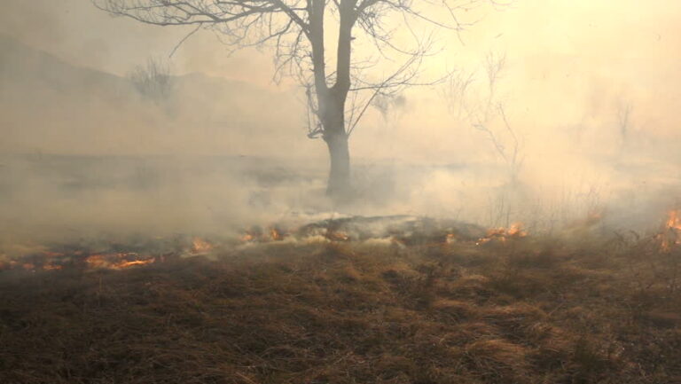 VODA a způsoby minimalizace plýtvání část II.