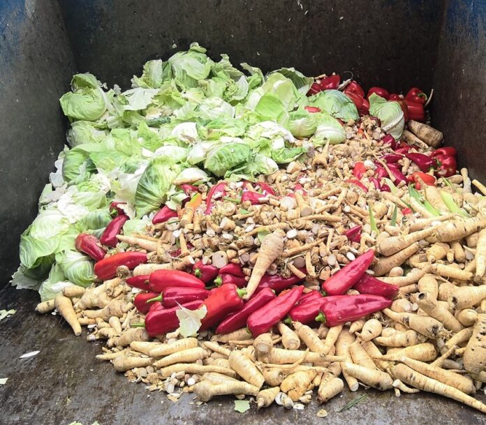 Ovoce a zelenina skončila v odpadu