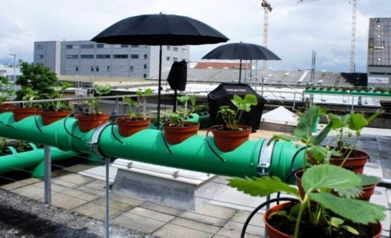 Zelená střecha, nebo průmyslová střešní zahrada?