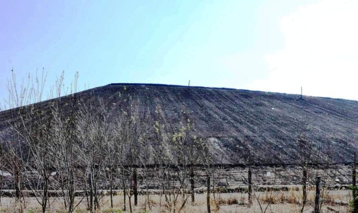 Rekultivace skládek