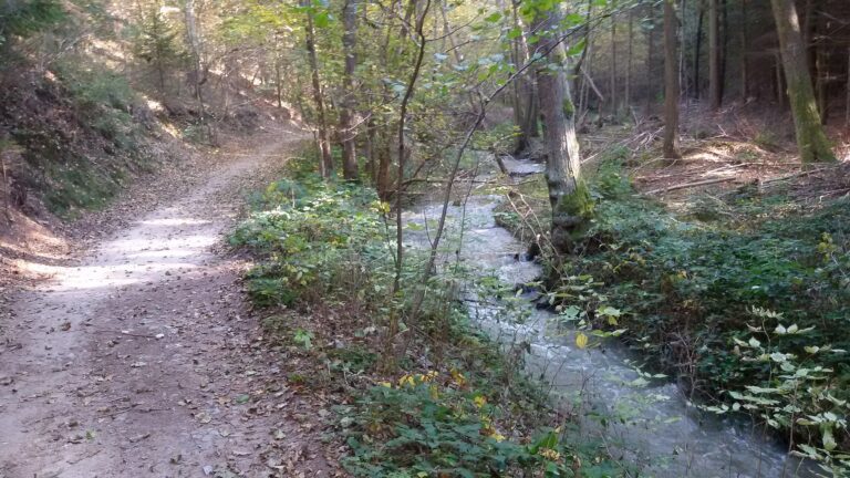 Firma porušila povinnosti stanovené zákonem o ochraně přírody