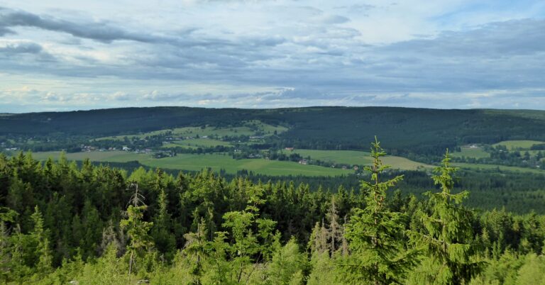 Firma ohrozila životní prostředí v lesích na Vysočině.