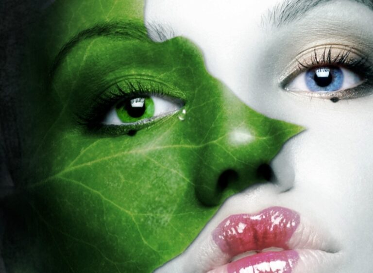 Znečištění životního prostředí proniká do všech sfér lidského života.