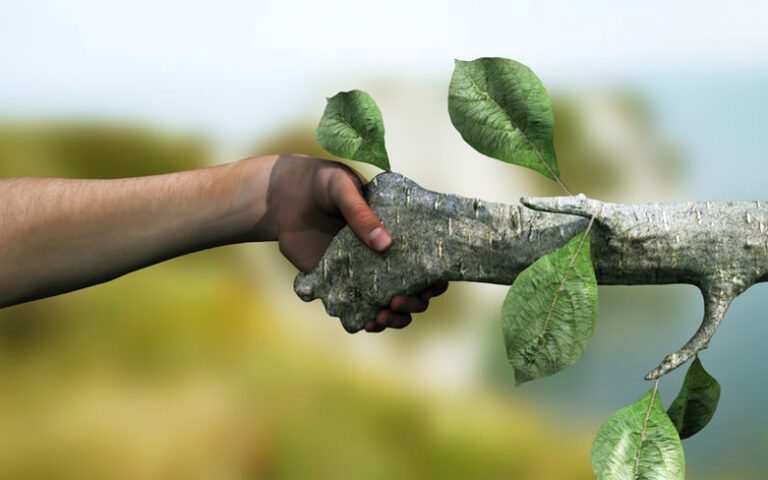 Dotace v Programu Životní prostředí, ekosystémy a změna klimatu