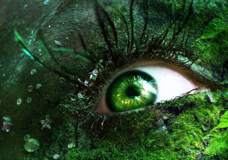 Měla by ČIŽP projevovat snahu o předcházení vzniku odpadu a plýtvání?