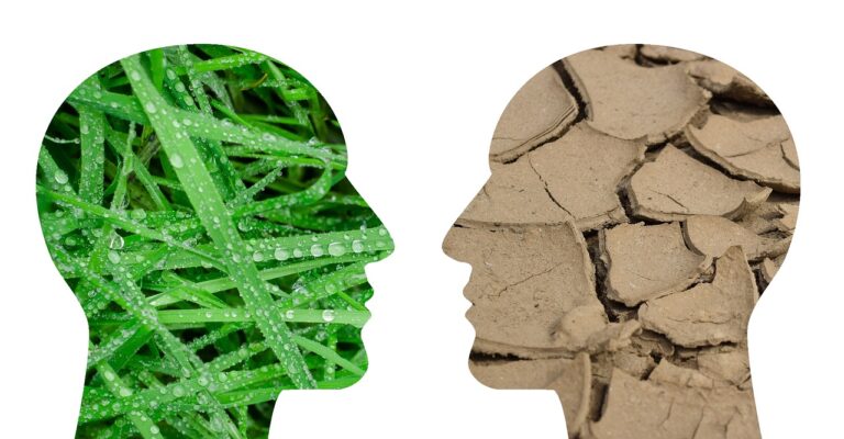 Klimatická a ekologická krize je nejpalčivějším problémem, jemuž EU čelí