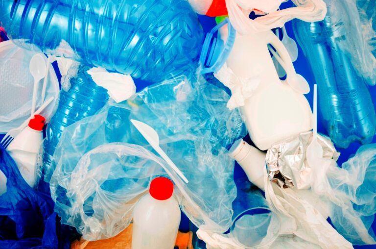 Různorodost jednorázových obalů z plastu je hlavní brzdou recyklace.