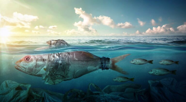 Nikdo nemůže tvrdit že ví, kolik je plastového odpadu v mořích a oceánech