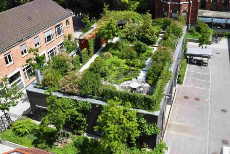 Zelené střechy jsou v posledních letech v kurzu