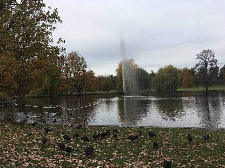 Přírodní lokality Prahy včetně Stromovky se mohou stát zastavitelnými