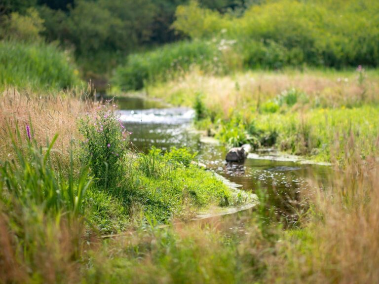 Jak zvládat přívalové deště a další extrémy počasí