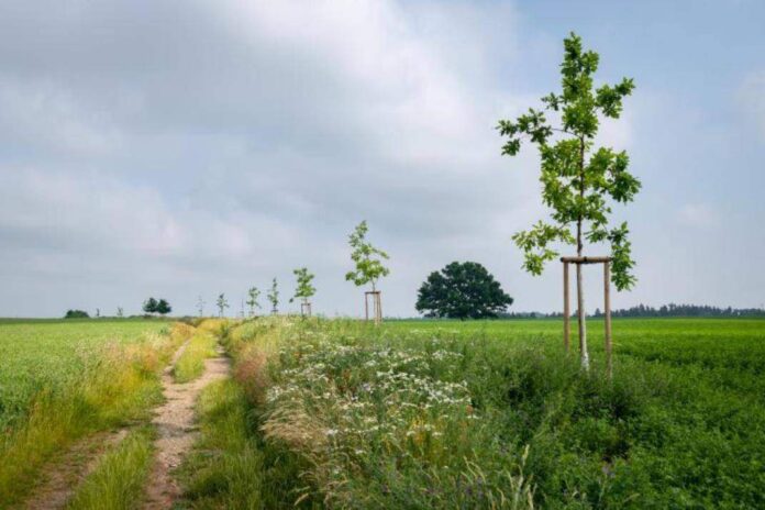 200 km alejí pod horou Blaník