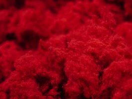 Výrobce ponožek spouští projekt upcyklace